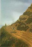 Кочевая дорога в горах Алатау. 1869-1870