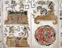 Страница из манускрипта венского кодекса